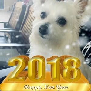 Meet your Posher, Sonia